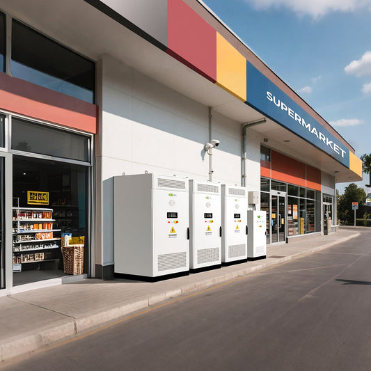 Ensuring Energy Efficiency with Ecosolex Battery Solutions